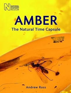 Amber: The Natural Time Capsule