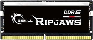 G.سكيل ذاكرة DDR5 من ريبجوس سلسلة SO-DIMM DDR5 RAM 32GB (1x32GB) 4800MT/s CL40-39-39-76 1.10 فولت غير مخزنة وغير ECC نوت بوك/لابتوب سوديم (F5-4800S4039A32GA1-RS)، من جي سكيل