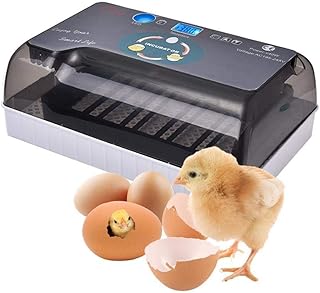 Incubator Egg Incubator 24 Eggs Incubator Digital Fully Automatic Hatcher for Egg Duck Egg Bird Egg Turkey Eggs Home Use