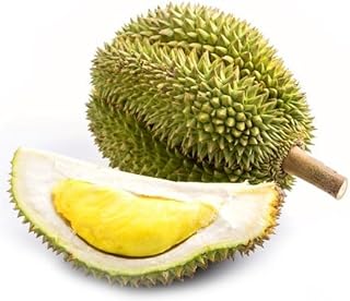 10pcs Durian Fruit Seeds