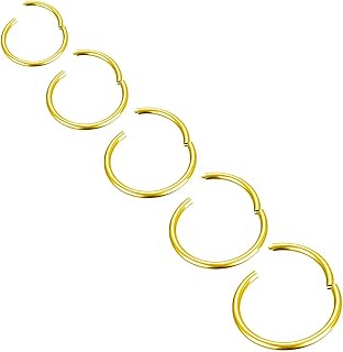 5pcs-20G/18G/16G/14G Titanium Nose Ring Hoops, Hinged Clicker Segment Sleeper Earrings Piercing-6mm/7mm/8mm/9mm/10mm,Silver tone/Gold