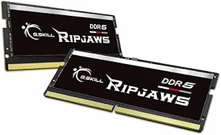 G.سكيل سلسلة DDR5 SO-DIMM من ريب جاوس (انتل XMP) 32GB (2 × 16GB) 262 دبوس DDR5 5600 CL40-40-40-89 1.10 فولت ذاكرة مزدوجة القناة F5-5600S4040A16GX2-RS، أسود