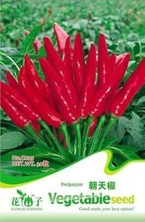 3 عبوات 90 di Red Slim Pepper semi, sementi di ortaggi Peperoncino C025: Only Seeds