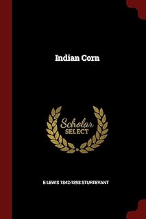 Indian Corn