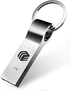 ذاكرة فلاش USB ليفيدا من ايفرني بسعة 1 تيرابايت محمولة فائقة السرعة ومقاومة للماء مع سلسلة مفاتيح متوافقة مع الكمبيوتر/اللاب توب