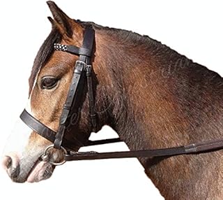 Sheldon Quality Leather Hunter Bridle With Plaited Browband and Rubber Reins