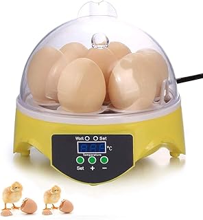 KHCEYT Egg Incubators Temperature Automatic, Mini Digital Eggs Poultry Hatcher Tool for Duck Bird Chicken Egg