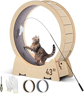 Cat Exercise Wheel 43.3 inch, Large Cat Running Wheel Cat Treadmill for Indoor Cats with Ultra-Long Cat Teaser and 2Pcs Detachable Carpet