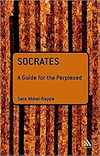 Socrates: A Guide for the Perplexed [Paperback]