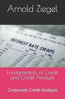 CREATESPACE Fundamentals of Credit and Credit Analysis: Corporate Credit Analysis