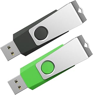 ايبي ذاكرة فلاش 128GB من قطعتين 128GB، ذاكرة فلاش USB 2.0 مع سلسلة مفاتيح (128G، لونان: اسود واخضر)