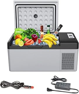 LZFdxmc Mini Fridge Portable Mini Fridge Compressor Car Refrigerator DC 24V Car Refrigerator AC Home Refrigerator