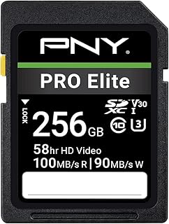 PNY بطاقة ذاكرة فلاش برو اليت كلاس 10 U3 V30 SDXC سعة 256 جيجابايت - 100 ميجابايت/ثانية، الفئة 10، U3، V30، 4K UHD، UHS-I، حجم كامل SD