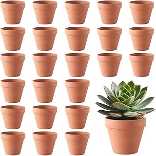 Foreverup Terracotta Plant Pots - 24pcs Small Plant Pot, Tiny Clay Terracotta Pots with Drainage Holes for Nursery Seedlings, Succulent Plant Pot, Cactus Plants, Flowers, DIY Painted Art