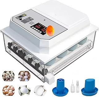 Dual Power Supply Incubator, Home Smart Incubator, 64 Fully Automatic Flipping Egg Incubators, Led Egg Lights, Automatic Temperature Control, Suitable for Chickens, Ducks, Quails, and Geese