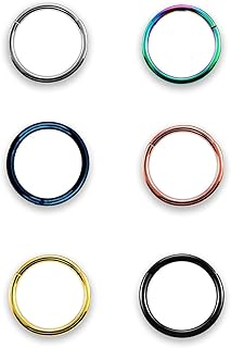 TOPBRIGHT 6 Pcs a Set Seamless Septum Rings Clicker 16G Stainless Steel Hinged Segment Rings for Daith and Lip Piercing