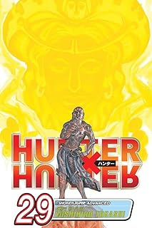 Hunter x Hunter, Vol. 29 (Volume 29)