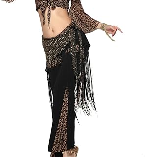 ZLTdream Women's Belly Dance Hip Scarf Highlights cloth With Long Tassels