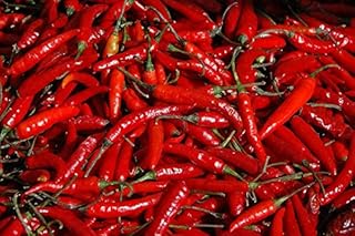 Cayenne Pepper Seeds - الفليفلة الحولية -: Only seeds