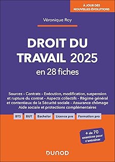 Droit du travail 2025 en 28 fiches