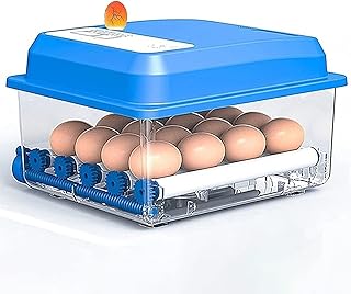 AAKYDH Egg Incubator 12 Eggs Fully Automatic Poultry Hatcher Auto Temperature Control Automatically Turn Eggs for Chickens Ducks Birds Family Use