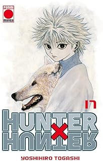 Hunter x hunter 17