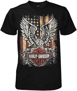 تي شيرت Harley-Davidson Men's Custom Freedom بأكمام قصيرة ورقبة دائرية دائرية - , للرجال