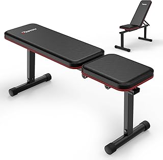 PASYOU Weight Bench, Heavy Duty Workout Bench, Multi-Position Bench Press for Full Body Workout, Fitness Bench Press for Strength Training