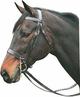 Henri de Rivel Pro Hunt Bridle