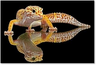 لوحة فنية جدارية من القماش مطبوع عليها Leopard Gecko بواسطة Dikky Oesin، مقاس 76.2 × 119.3 سم