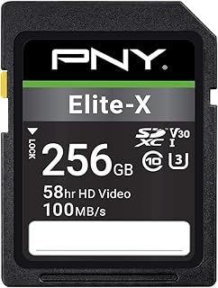 PNY بطاقة ذاكرة فلاش ايليت اكس كلاس 10 U3 V30 SDXC سعة 256GB - 100 ميجابايت/ثانية، الفئة 10، U3، V30، 4K UHD، UHS-I، ذاكرة SD كاملة الحجم