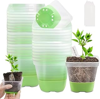 AVCXEC Cultivation Pots, 30 Pieces Transparent Plant Pots with Silicone Base, Square Flower Pots Transparent with 60 Plug-In Labels, Easy Observation Transplantation, for Succulent Seedlings