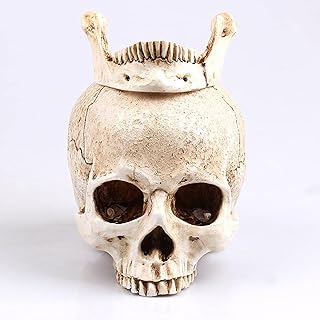 PlentifulHome Resin Skull Head Model Simulation Skeleton Head Medical Skull Art Copy for Halloween Decor