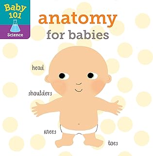 Baby 101: Anatomy for Babies