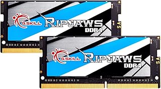 G.سكيل ذاكرة لاب توب 32GB (2 × 16G) سلسلة DDR4 PC4-19200 2400MHz 260 دبوس موديل F4-2400C16D-32GRS، من جي سكيل، FBA_F4-2400C16D-32GRS