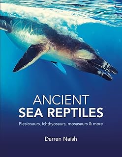 Ancient Sea Reptiles: Plesiosaurs, ichthyosaurs, mosasaurs and more