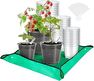 Johyzmpun Pack of 30 Propagation Pots, 9/10/13 cm Transparent Orchid Pot with Repotting Mat, Plant Pots with Drainage Holes