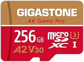 جيجاستون [استعادة بيانات مجانية لمدة 5 سنوات] بطاقة Micro SD 256GB، بطاقة ذاكرة 4K جيم برو، بطاقة ذاكرة MicroSDXC لنينتيندو سويتش، جوبرو، كاميرا اكشن، دي جيه اي، فيديو UHD، R/W حتى 100/60