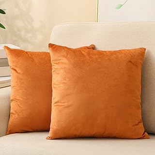 أغطية وسائد Moloudan Velvet Throw Pillow Case، Soft Solid Cushion Case for Sofa Sofa Sofa Room (برتقالي محروق ، 18*18 بوصة ، حزمة من 2)