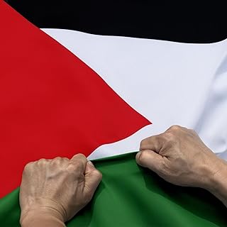 علم فلسطين مزدوج الجوانب مقاوم للتمزق مكونة من ثلاث طبقات قياس 91.4 × 152 سم الوان زاهية، رأس من القماش مقاوم للتجاعيد، بنمط وطني فلسطيني أقوى وأطول عمرها من انلي