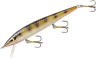 Smithwick Lures Suspending Rattlin Rogue Fishing Lure