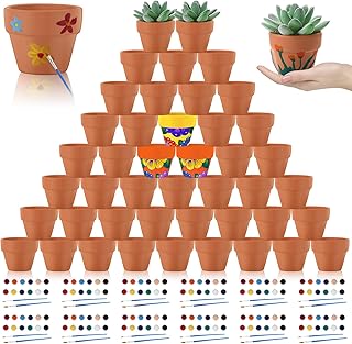 زدليني 48 قطعة من اوعية الطين الصغيرة مقاس 2 انش لنباتات الحضانة الصغيرة مع 12 طلاء اكريليك صغير، اصيص فخار للصبار العصاري للنباتات الداخلية والخارجية والحرف اليدوية وحفلات الزفاف