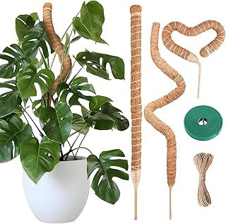 JIANGZHIB Moss Stick for Monstera, Pack of 3 Monstera Trellis, 60 cm Flexible Moss Sticks for Plants, Monstera Trellis with Jute Rope and Velcro Strap, Coconut Rod Monstera for Climbing Plants, Plant