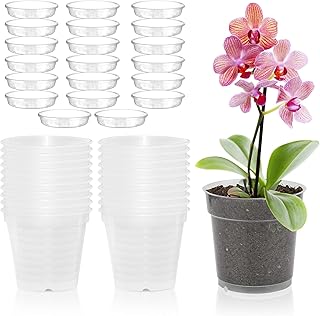 Orchid Vases, 20 Orchid Pots, 11.5cm Transparent Orchid Pot, Transparent Orchid Vases with Drainage Holes and Saucer, Flower Pots for Balcony Desk Container