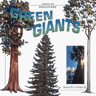 Green Giants: 12 of the Earth's Tallest Trees