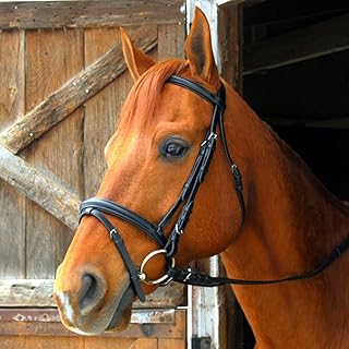 لجام Exselle Dressage/Eventing Bridle