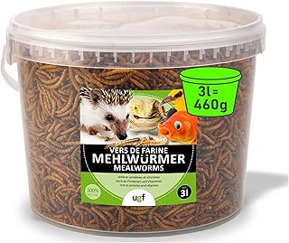 UGF - Premium Mehlwürmer trocknet 3 Liter Eimer - 460 g, Bird Futter Wildvögel Ganzjährig, Igelfutter, Hühnerfutter, Eichhörnchen Futter, Hamster Futter