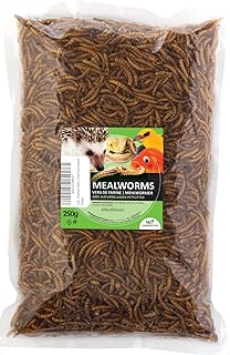 UGF Premium Dried Mealworms, 250 g, Insect Snacks for Birds, Hamsters, Hedgehogs, Rodents, Lizards, Turtles - No Preservatives and Colourants