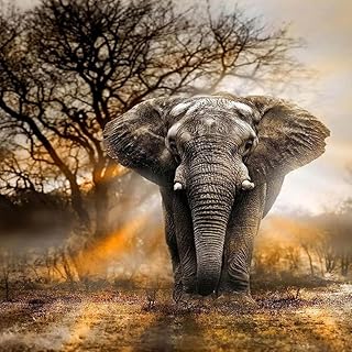 Elephants in the grassland-1000 piece puzzle for adults, family happy gifts, creative toys-learning education-interesting and challenging-new home desktop decoration