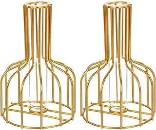 Rayyan Flower Vases with Iron Art Frame, Metal Flower Vase Test Tube Vase, Iron Art Flower Vase, Clear Decorative Vase for Living Room Wedding Holiday Party(Pack of 2)